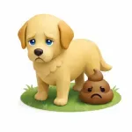 A dog with poor gut health